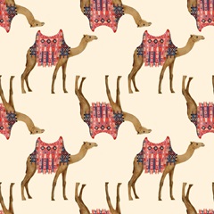 Meet me in Marrakech H