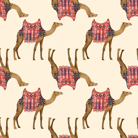 Meet me in Marrakech H