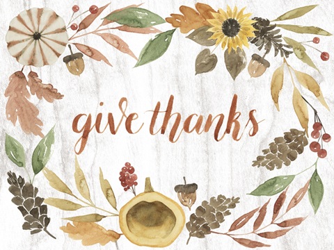 Modern Cornucopia Collection A