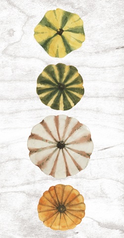 Modern Cornucopia Collection B