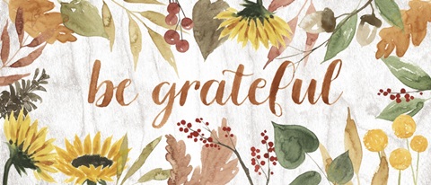 Modern Cornucopia Collection D