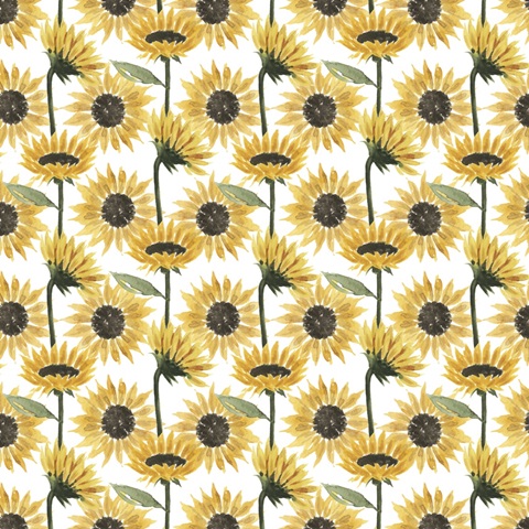 Modern Cornucopia Collection F