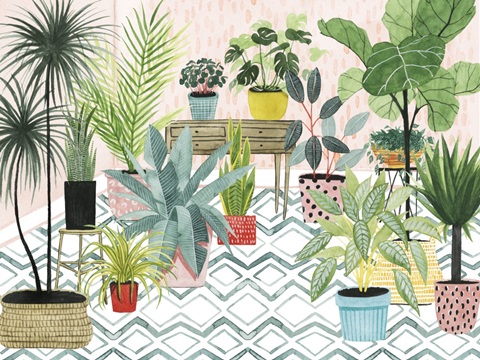 Modern Jungle Collection A