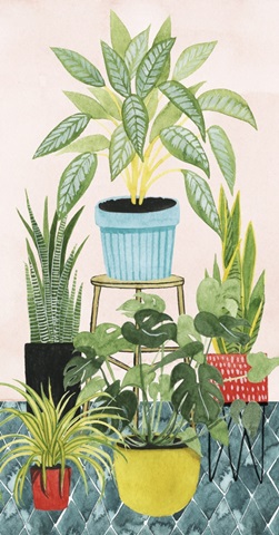 Modern Jungle Collection B