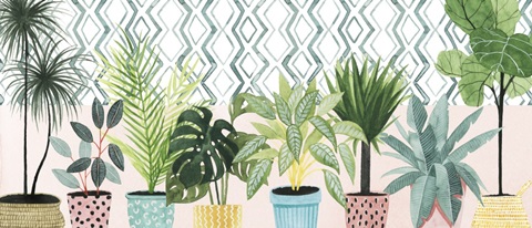 Modern Jungle Collection D