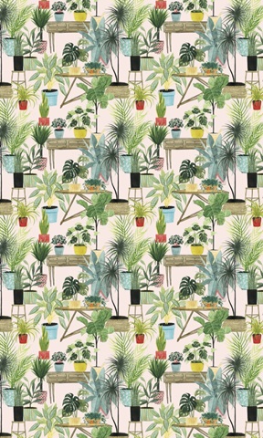 Modern Jungle Collection E