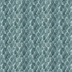 Modern Jungle Collection F