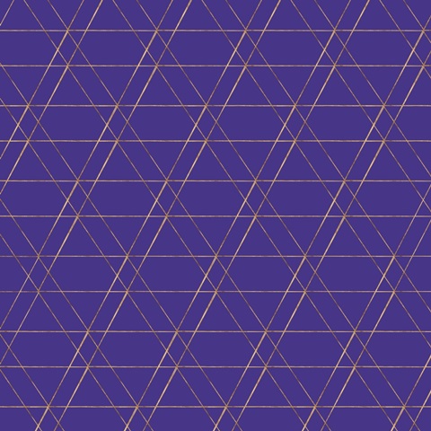 Moon Child Collection H