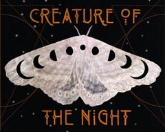 Mystic Moon Collection A