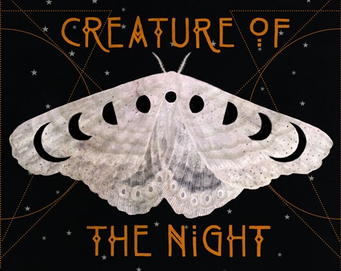 Mystic Moon Collection A