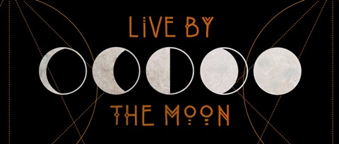 Mystic Moon Collection D