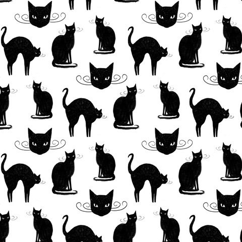 Mystic Moon Collection F