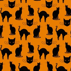 Mystic Moon Collection G