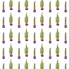 Navidad Tropical Collection G