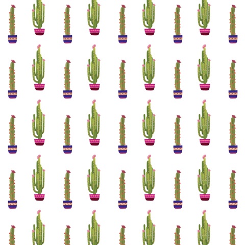 Navidad Tropical Collection G