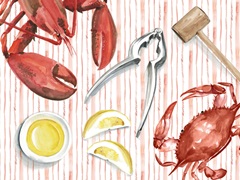 New England Summer Collection A