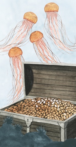 Ocean Adventure Collection B