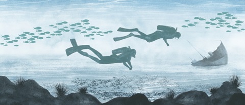 Ocean Adventure Collection D