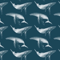 Ocean Adventure Collection F