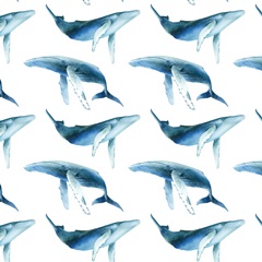 Ocean Adventure Collection G