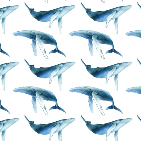 Ocean Adventure Collection G