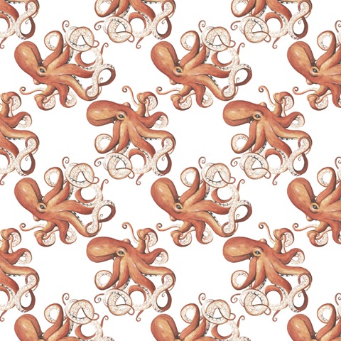 Ocean Adventure Collection I