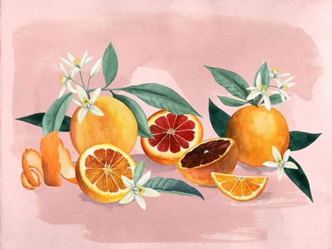 Orange Blossom Collection A