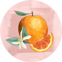 Orange Blossom Collection C