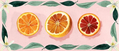 Orange Blossom Collection D