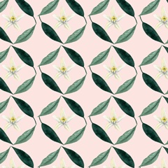 Orange Blossom Collection G