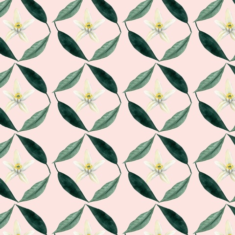 Orange Blossom Collection G