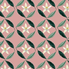 Orange Blossom Collection I