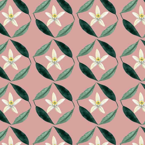 Orange Blossom Collection I