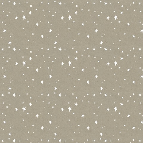 Party on the Farm Collection H