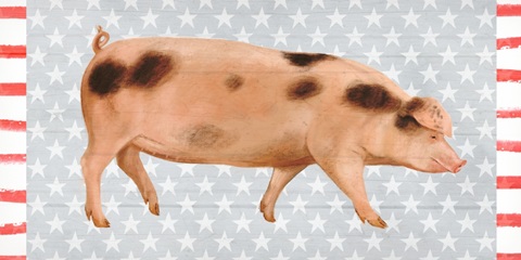 Patriotic Farm Collection D