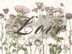 Pressed Blooms Collection A