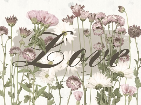 Pressed Blooms Collection A