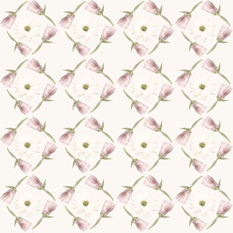 Pressed Blooms Collection F