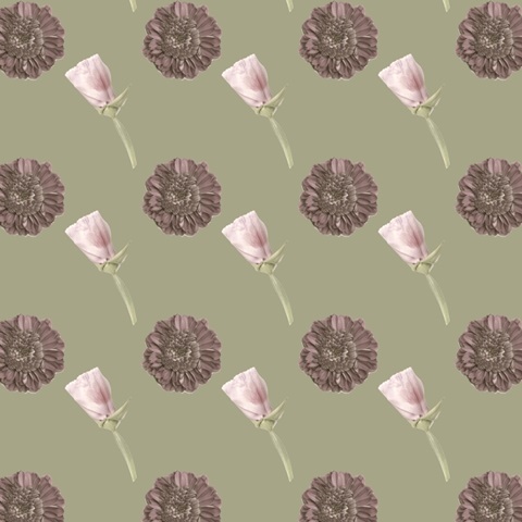 Pressed Blooms Collection I