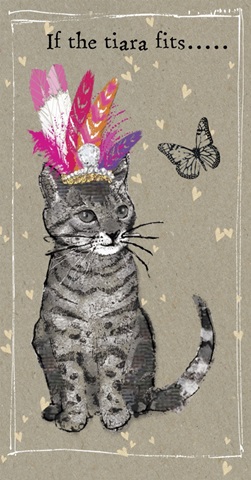 Princess Cat Collection B