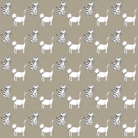 Princess Cat Collection F