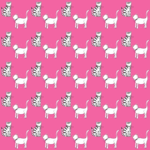 Princess Cat Collection G