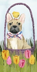 Puppy Easter Collection B