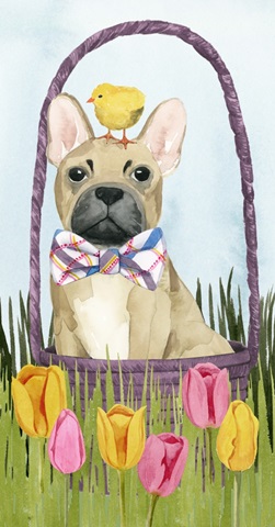 Puppy Easter Collection B