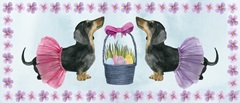 Puppy Easter Collection D