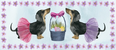 Puppy Easter Collection D