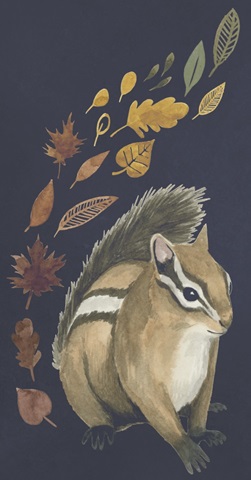 Rainbow Harvest Collection B