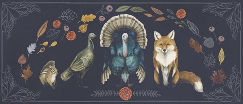 Rainbow Harvest Collection D