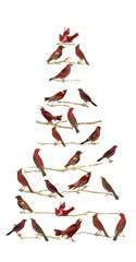 Red Bird Christmas Collection B