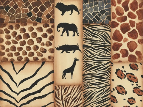 Safari Collection A